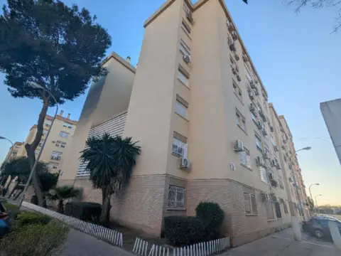 Piso en calle Pintores, 2